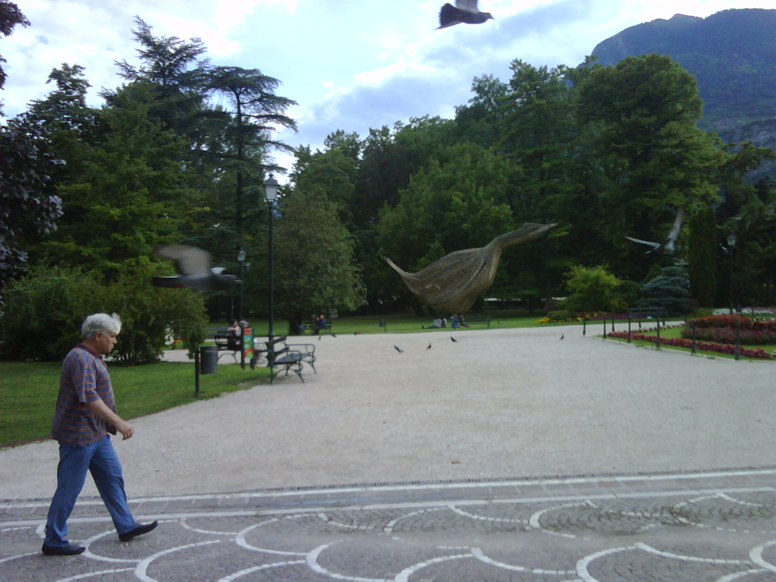Trento birds.jpg